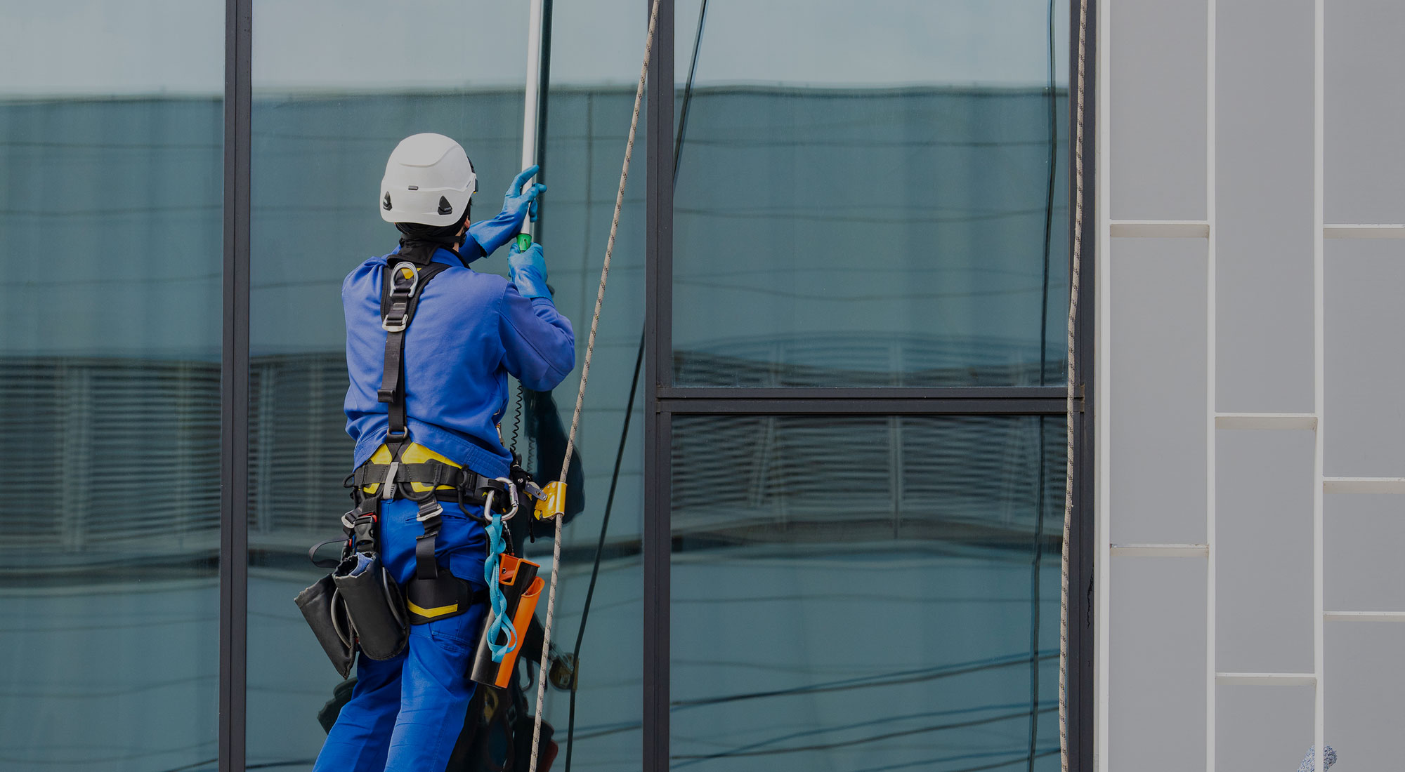 環境の課題に、まっすぐ応える